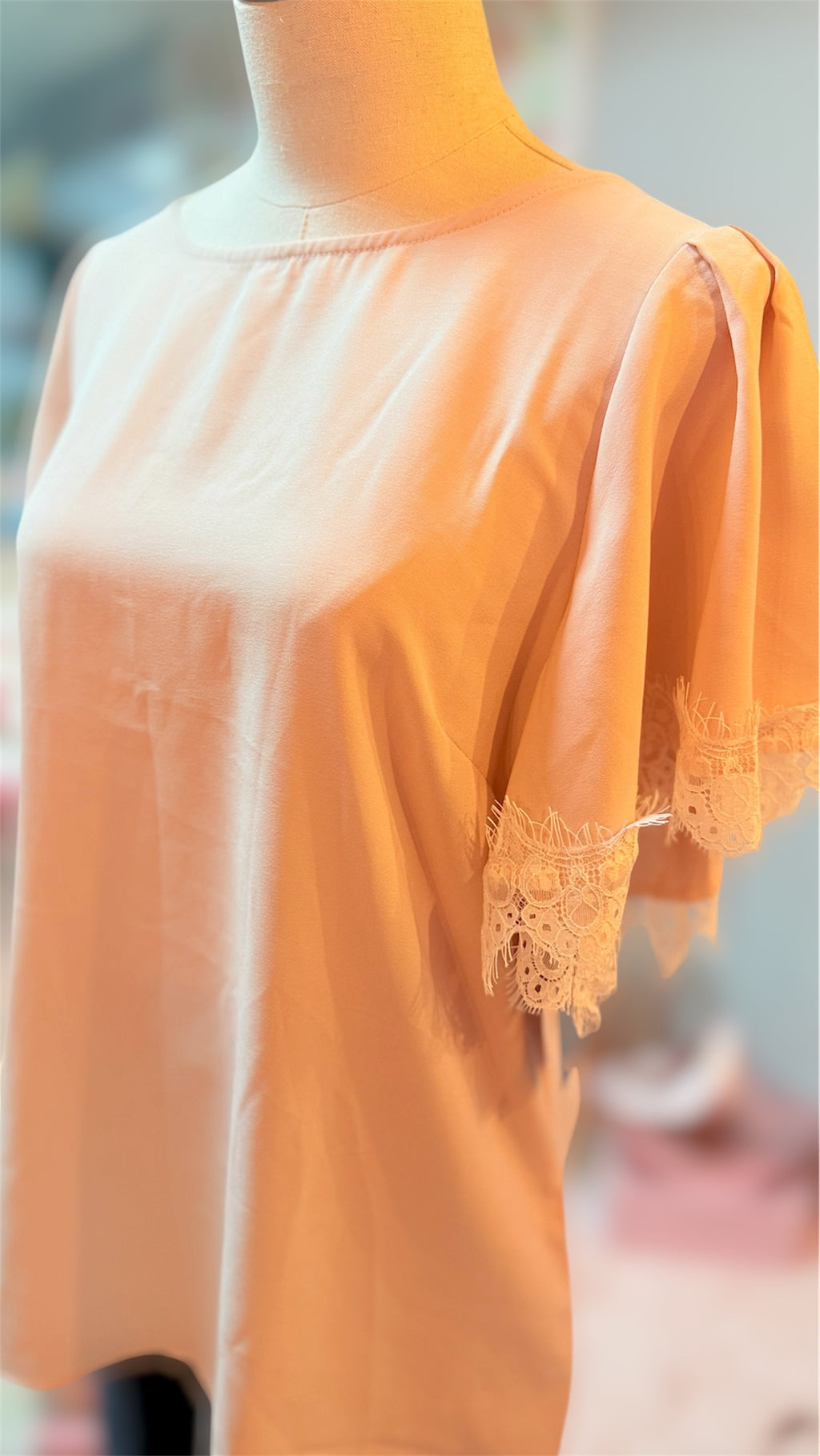 Blush Blouse LC